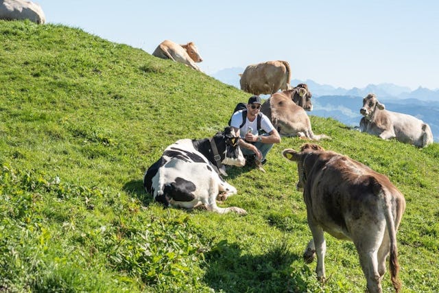 Nuove amiche: Janosch e le mucche.