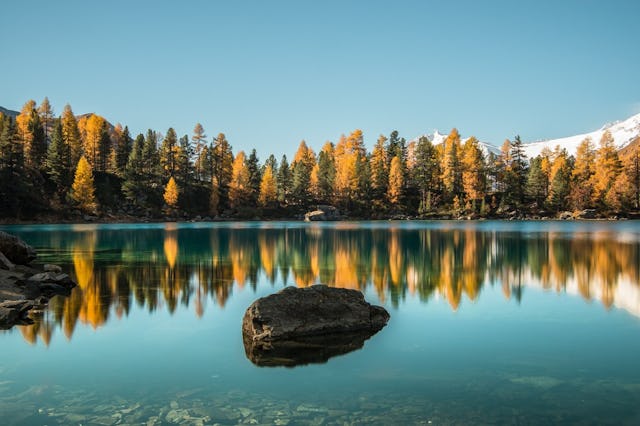 Incorniciato da uno splendido bosco di abeti, il lago di Saoseo si trova nella pittoresca Val da Camp in Grigioni.