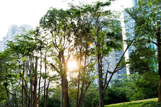 La finance a une sacrée carte à jouer pour rendre le monde plus durable.