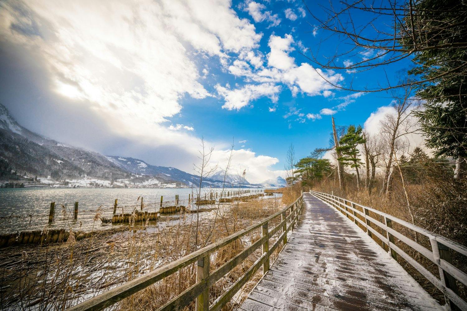 Promenez-vous sur les rives du lac de Thoune et admirez la vue.