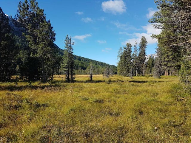 Des milliers de tonnes de CO2 s’échappent des hauts-marais suisses. Cela peut être évité par la renaturation des marais. Avec le certificat climatique proposé par South Pole, la remise en eau et la rétention du carbone dans les hauts-marais suisses sont encouragées.