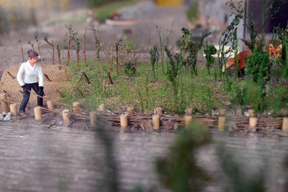 Exploration des propriétés des végétaux. 