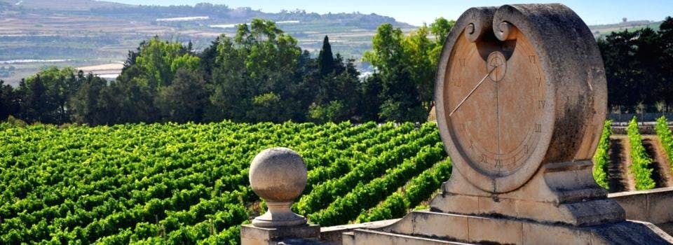 Maltas preisgekrönte Weingüter und Weinberge erfreuen jeden Weinliebhaber.