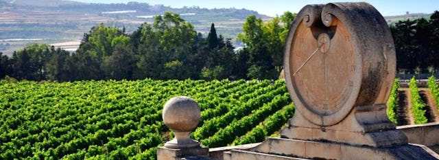 Malte compte de nombreux vins reconnus au niveau mondial.