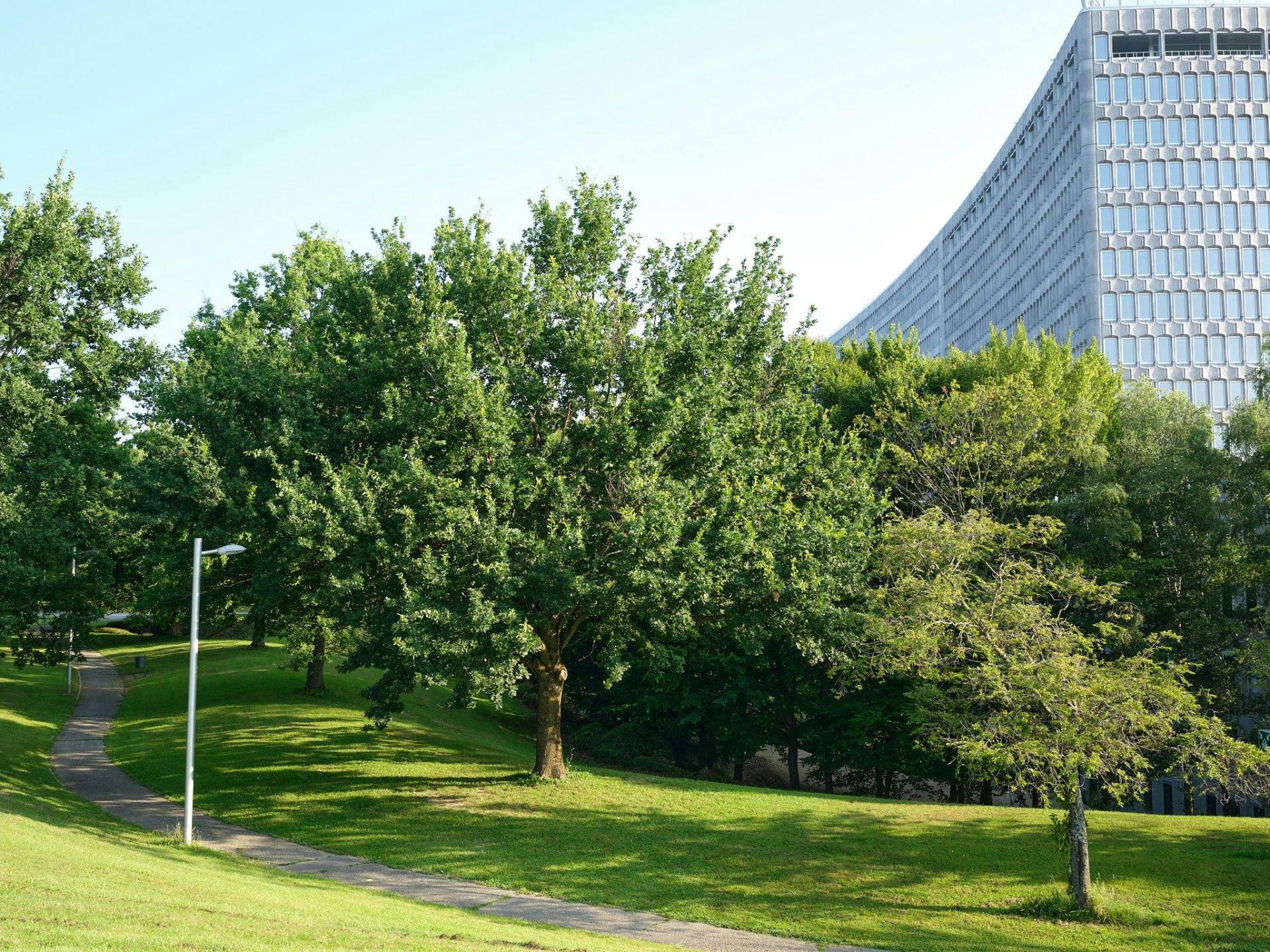 Bureau international du Travail.