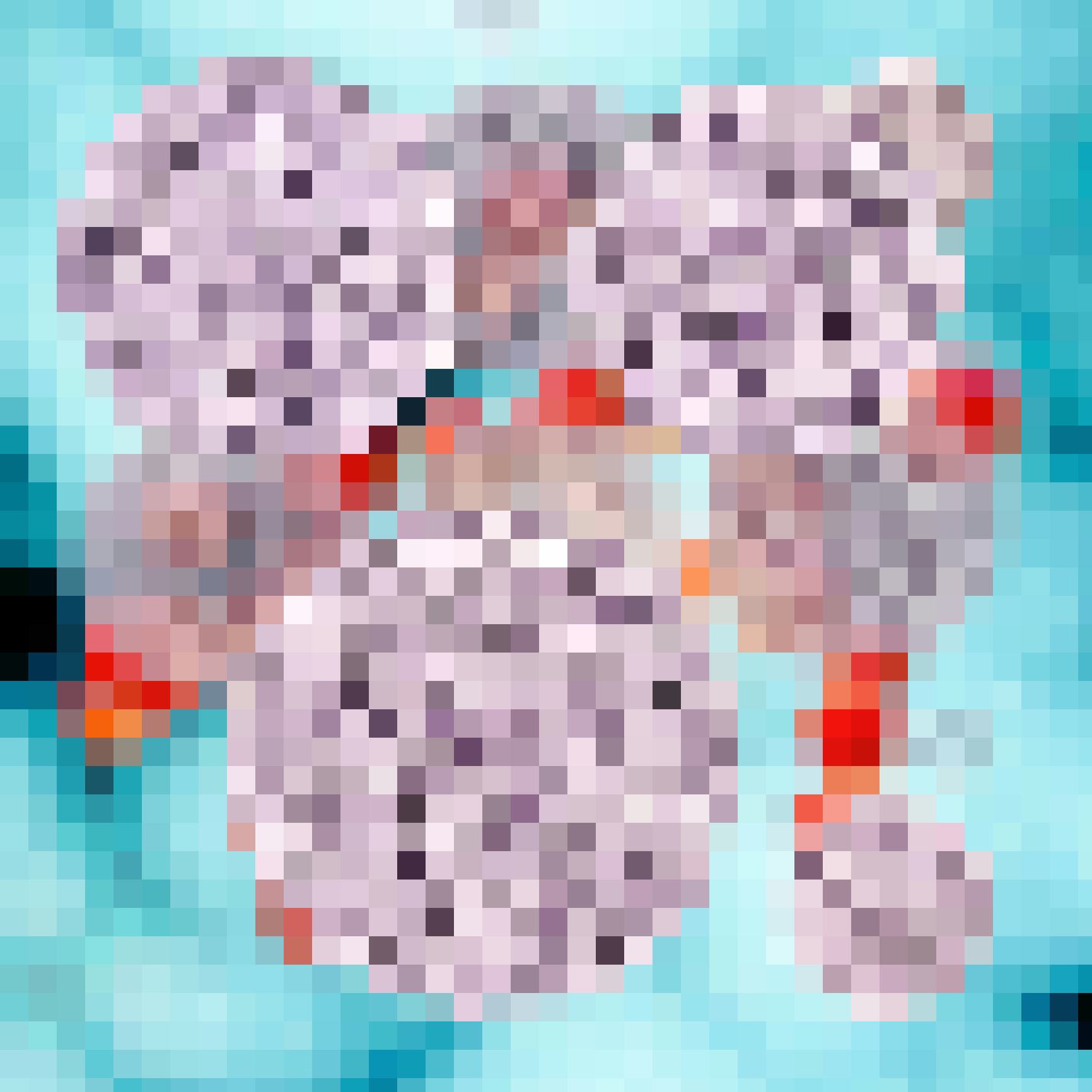Illustrazione di virus del papilloma umano (HPV)