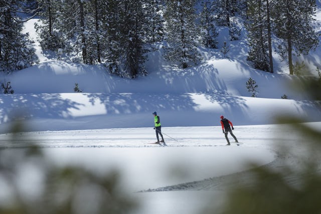 Glückliches Schnaufen in den Entlebucher Moorwäldern.