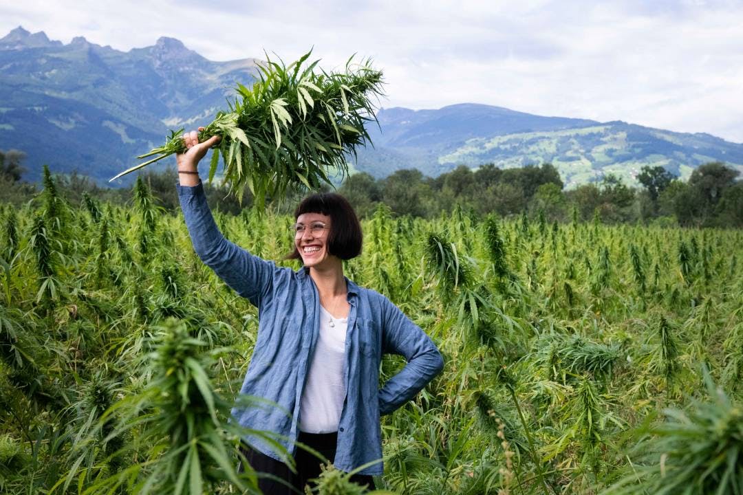 Die Naturköchin Rebecca Clopath hat ein Büchlein mit fantasievollen Hanfrezepten verfasst.