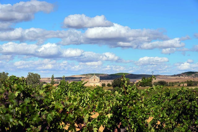 Zamora ist eine verträumte Landschaft mit einer langen Weinbaugeschichte.