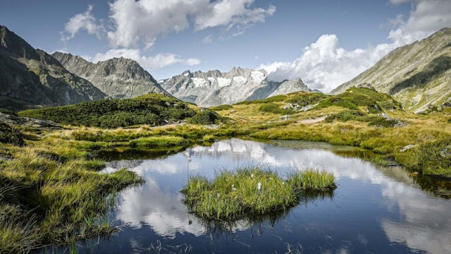 Les magnifiques eaux suisses sont malheureusement en danger.