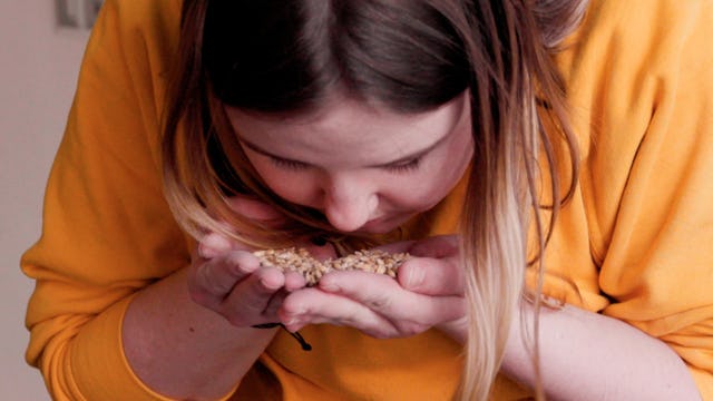 Das Malz bildet zusammen mit dem Hopfen die Seele des Biers.