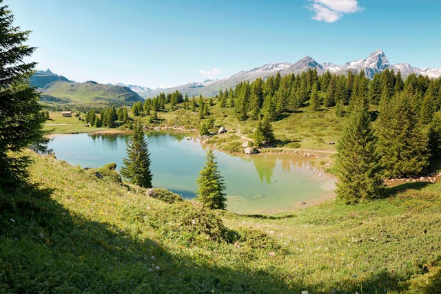 Naturbegeistere kommen auf der Alp Flix im Val Surses in den Genuss. Naturbegeistere kommen auf der Alp Flix im Val Surses in den Genuss.