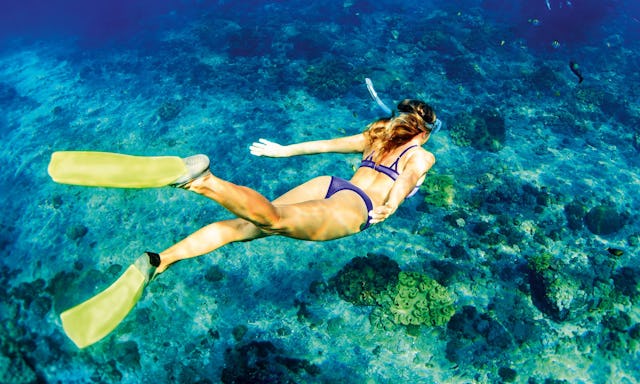 Sommer-Feeling garantiert: Direkt ab Zürich zu den schönsten Ferienorten der Welt.