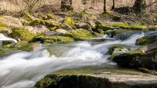 Feldschlösschen und «Aqua Viva»  erwecken verbaute Dorfbäche wieder zum natürlichen Leben.