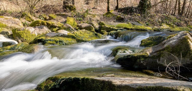 Feldschlösschen setzt sich unteranderem für die Renaturierung des Magdenerbaches ein.