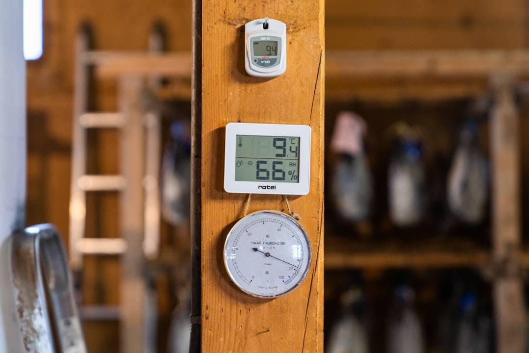 Zum Reifen braucht es gleichmässige, kühle Temperaturen – darum wirft der Chef stets einen Blick auf das Thermometer .