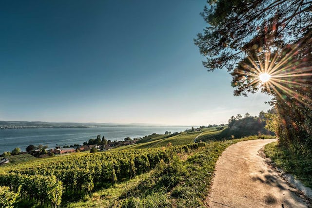 Die Region Murtensee lädt dich zu wohltuenden Momenten der Entspannung ein. Die Region Murtensee lädt dich zu wohltuenden Momenten der Entspannung ein.
