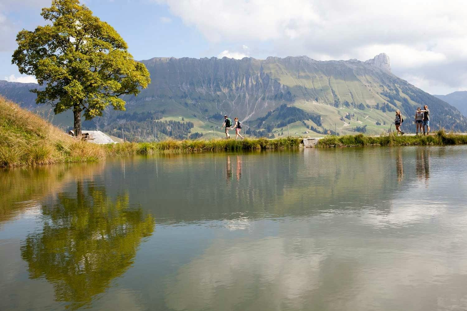 ... oder die Köstlichkeiten auf einem der Wanderwege geniessen.