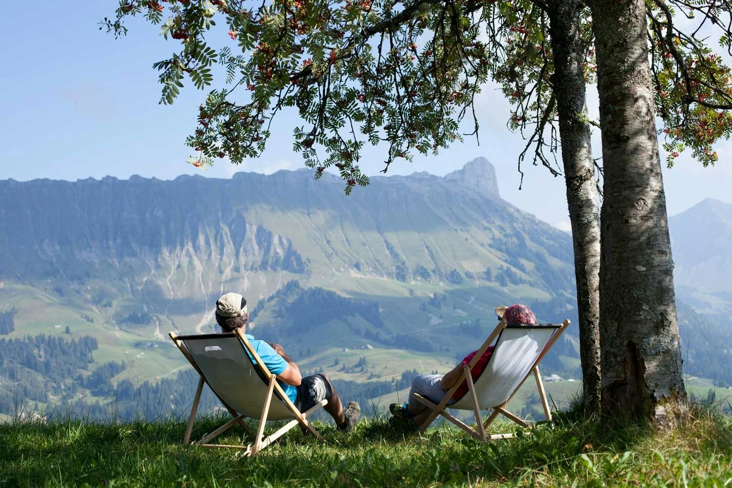 Wer es entspannter mag, kann sich aber auch mit einem Picknick-Korb in die Natur setzen ...