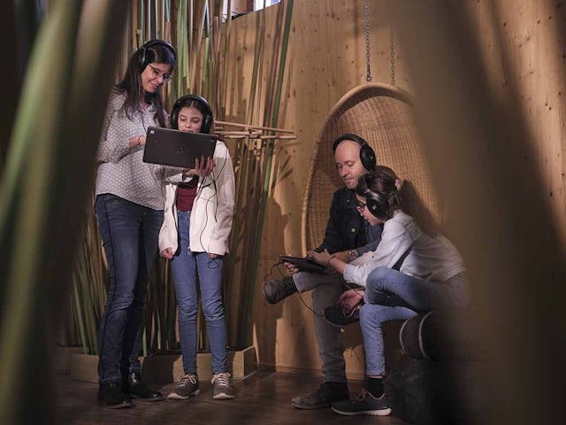 Apprenez-en davantage sur le chant des oiseaux dans le cadre de l'exposition temporaire du centre-nature BirdLife de la Sauge.