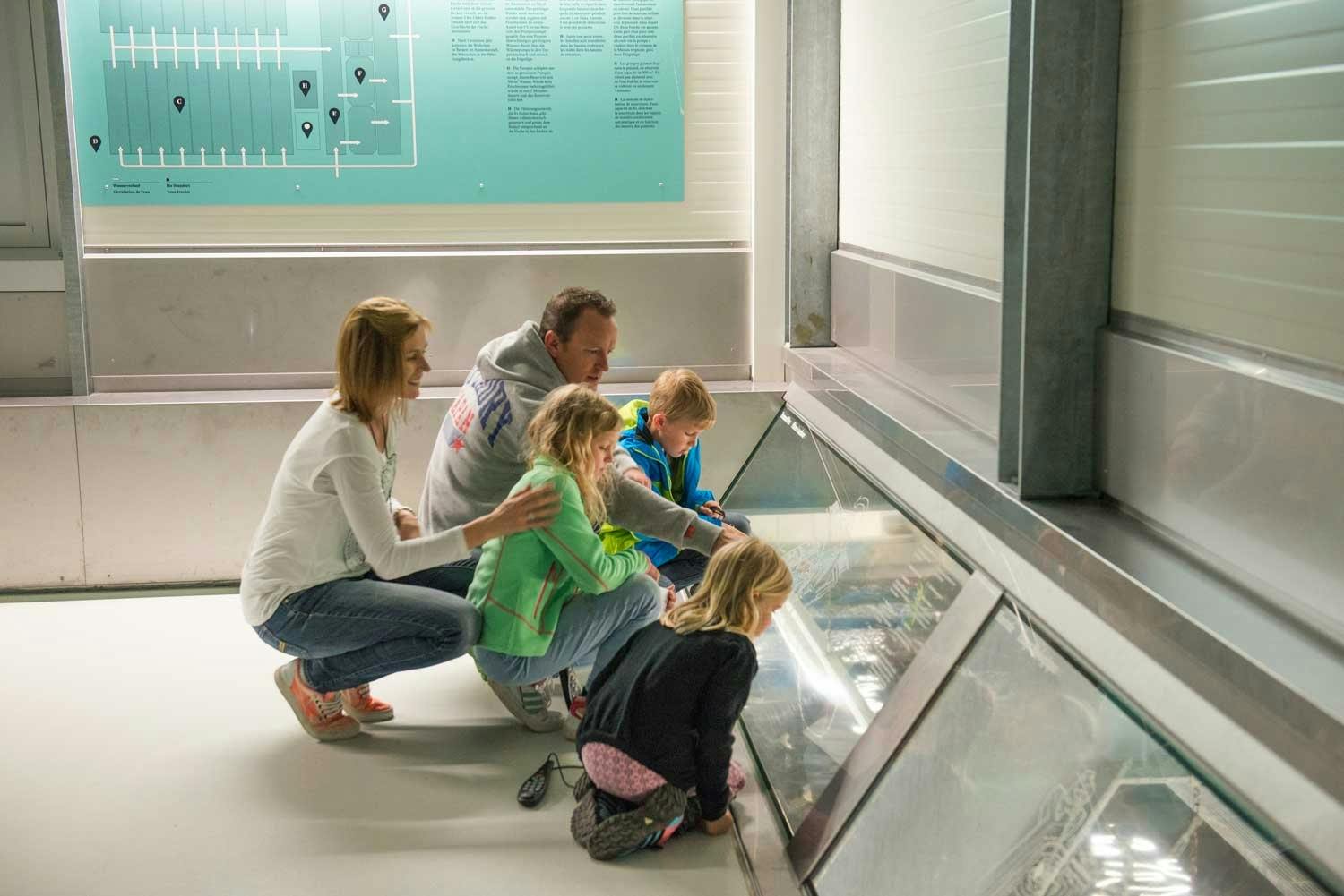 In der Fischhalle erhalten Sie einen informativen Eindruck über die Fischerei in der Schweiz.