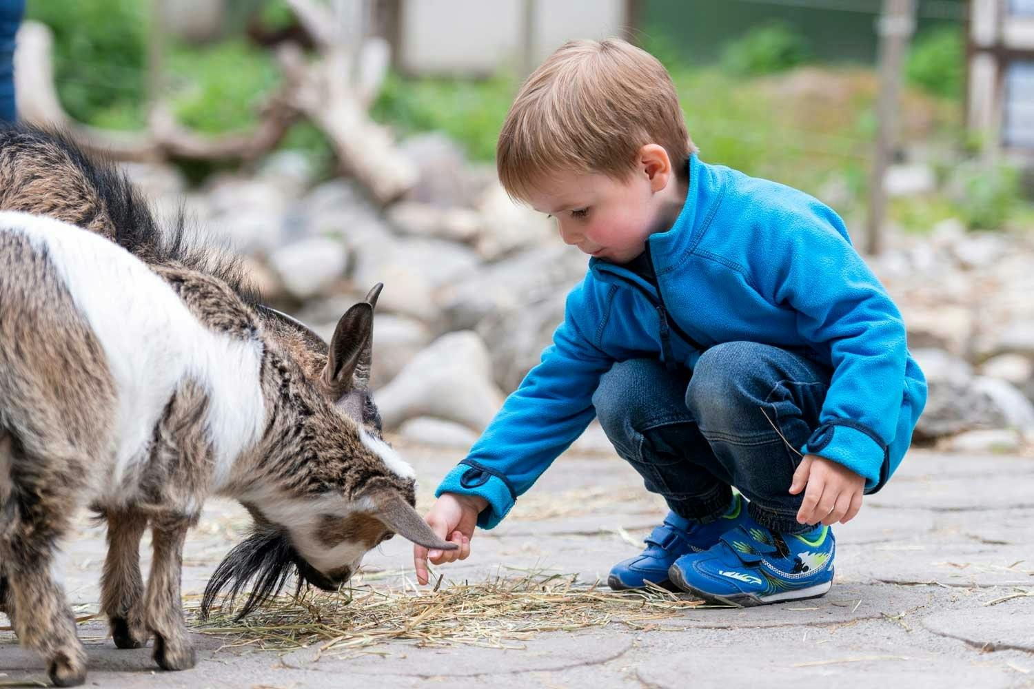 Und mit der Anfahrt mit dem öffentlichen Verkehr profitierst du nicht nur von 20 Prozent Rabatt auf deine An- und Rückreise, sondern erhältst auch noc...