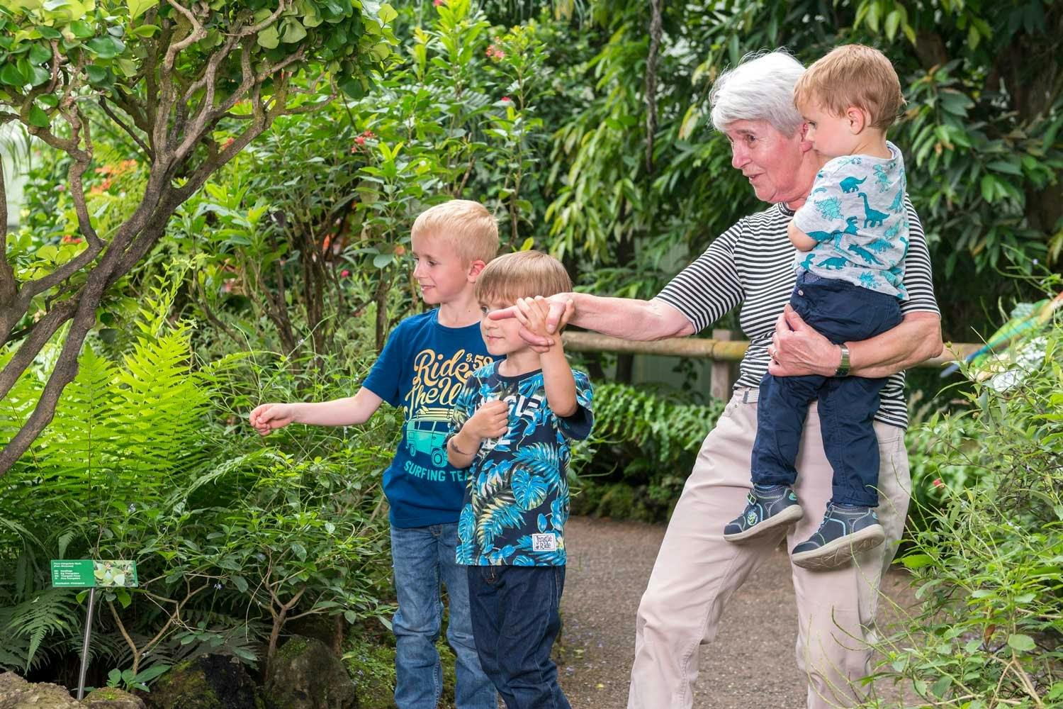 Klein und Gross können hier den Tropenwald hautnah miterleben.