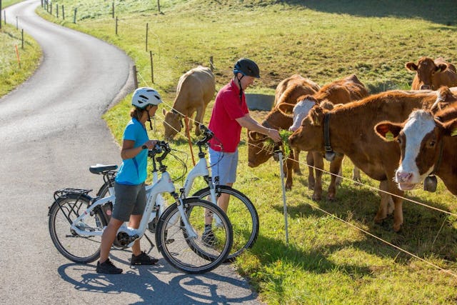 Profitez de la nature lors d’une balade à vélo en famille ou entre amis.