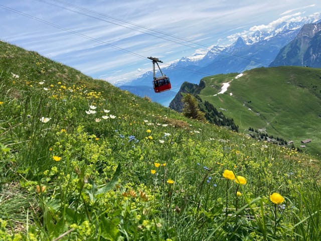 Offrez-vous une vue époustouflante dans les Alpes bernoises.