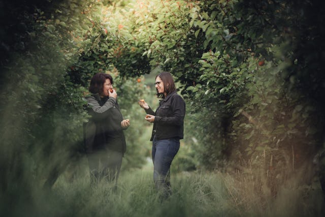 Quel est le point commun entre les abricots, le Valais et la bière?