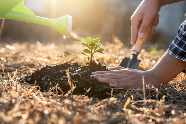 Nachhaltiges Anlegen: Für eine sichere Zukunft.