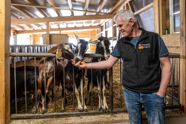 Besondere Tierliebe: Patrick Odermatt setzt in seinem Käsereibetrieb auf Ziegenmilchprodukte.