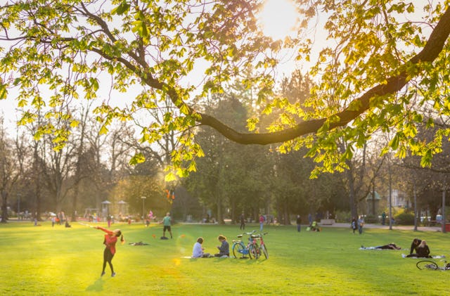 Die BKB setzt sich für eine nachhaltige Zukunft ein.