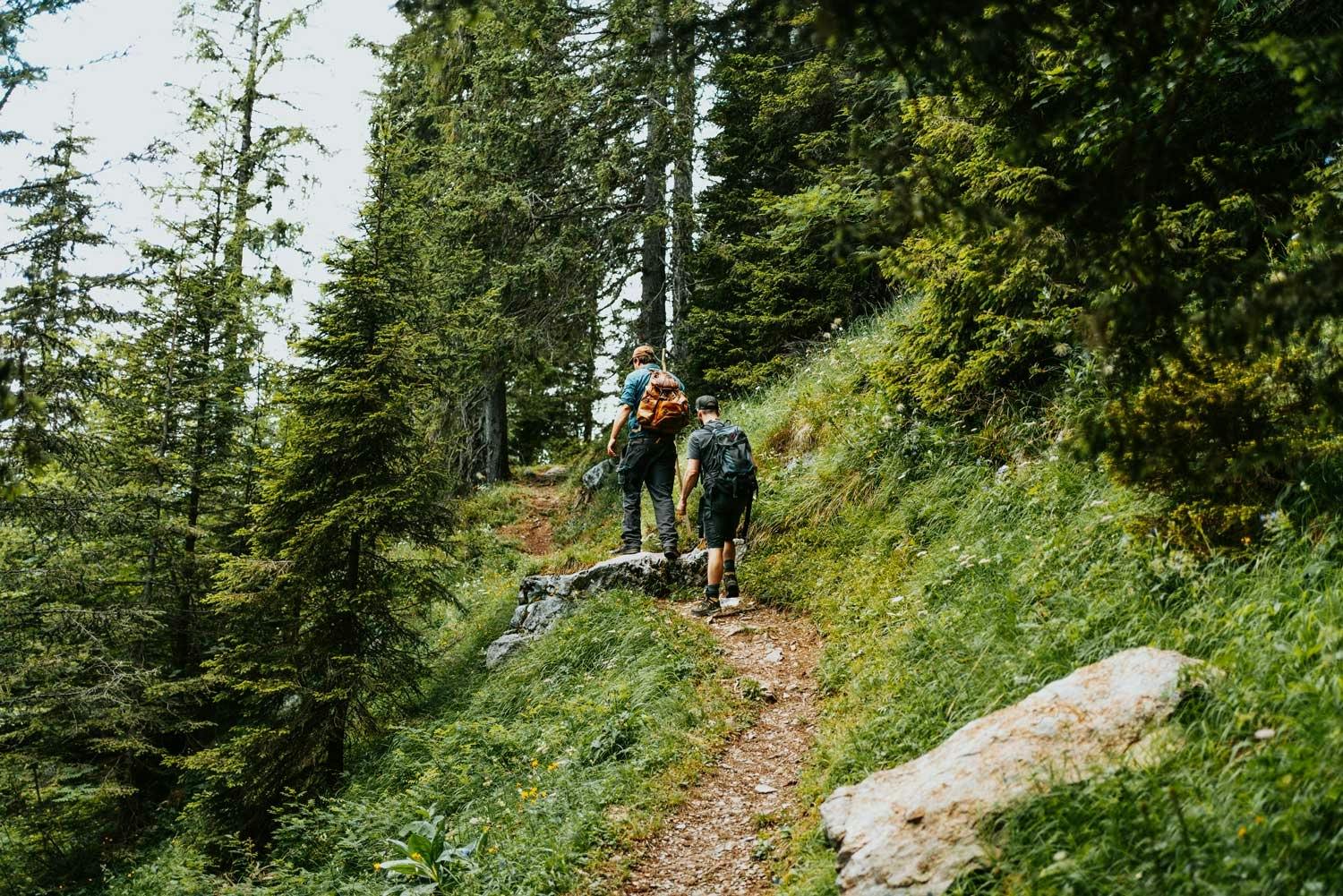 Die Wanderroute führt durch schattenspendende Wälder...