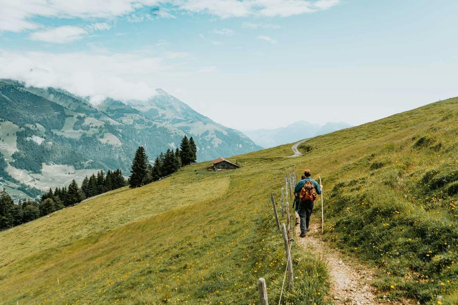 ... und vorbei an wunderschönen Alpweiden.