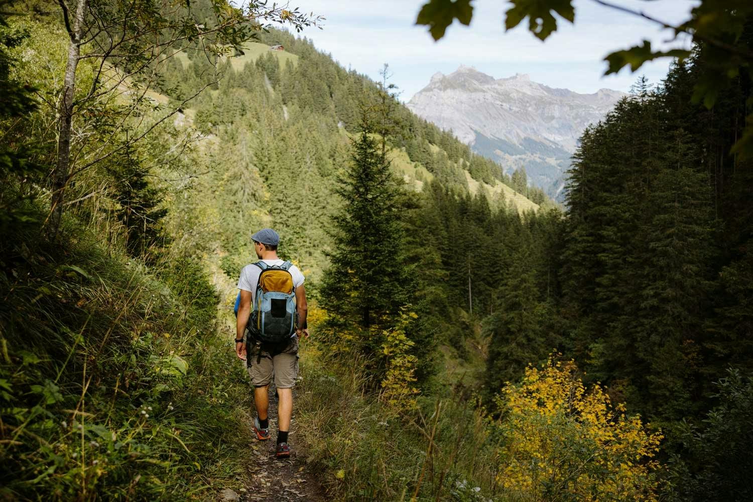 Sie führen durch tiefe Wälder und liefern traumhafte Einblicke in die umliegende UNESCO-Bergwelt.