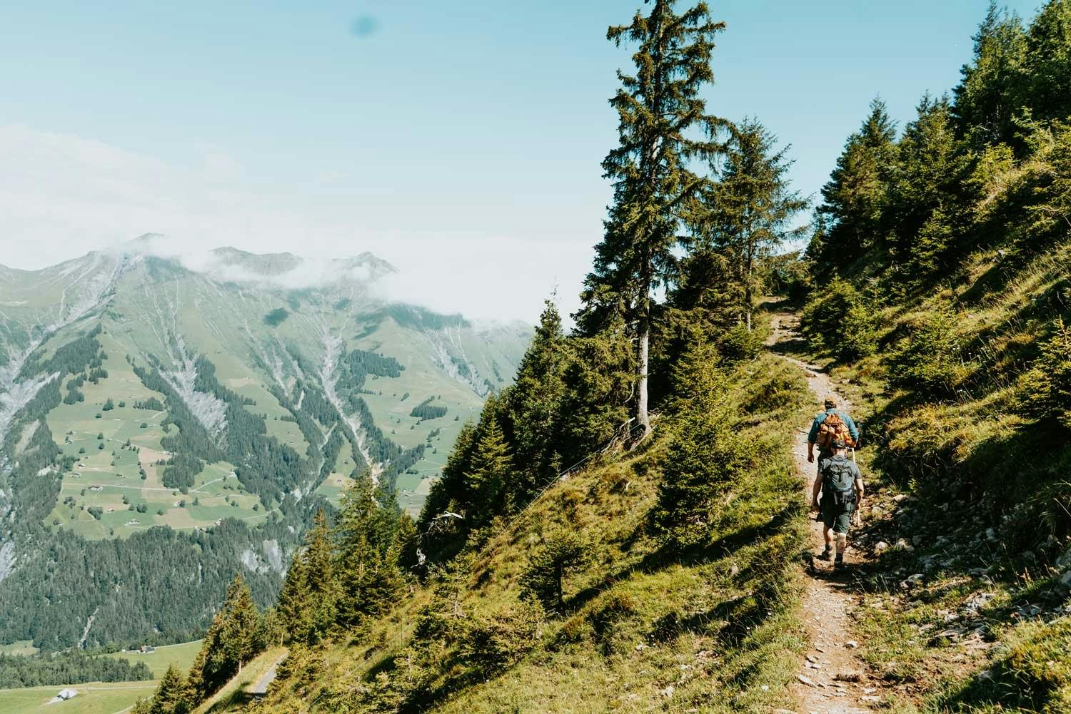 Von der Bergstation Elsigenalp führt der rund 11 Kilometer lange Panoramaweg durch Wälder und Weiden.