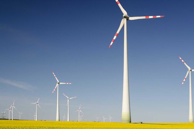 Mit «Compensators» der Industrie CO₂  wegkaufen: Durch den Kauf von Emissionszertifikaten wird es in Zukunft teurer, umweltschädlich zu sein.