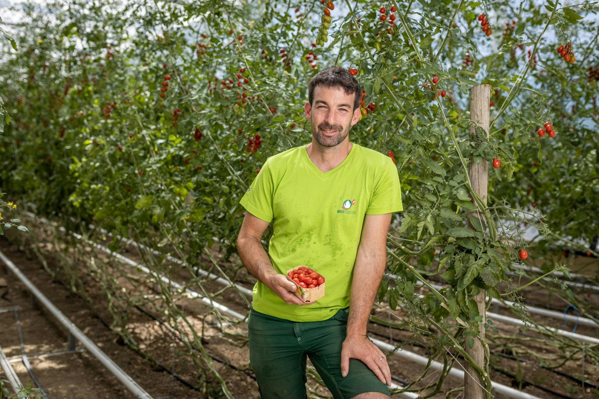Biobauer Adrian Huber liefert schmackhafte Tomaten und Gurken in bester Bioqualität.