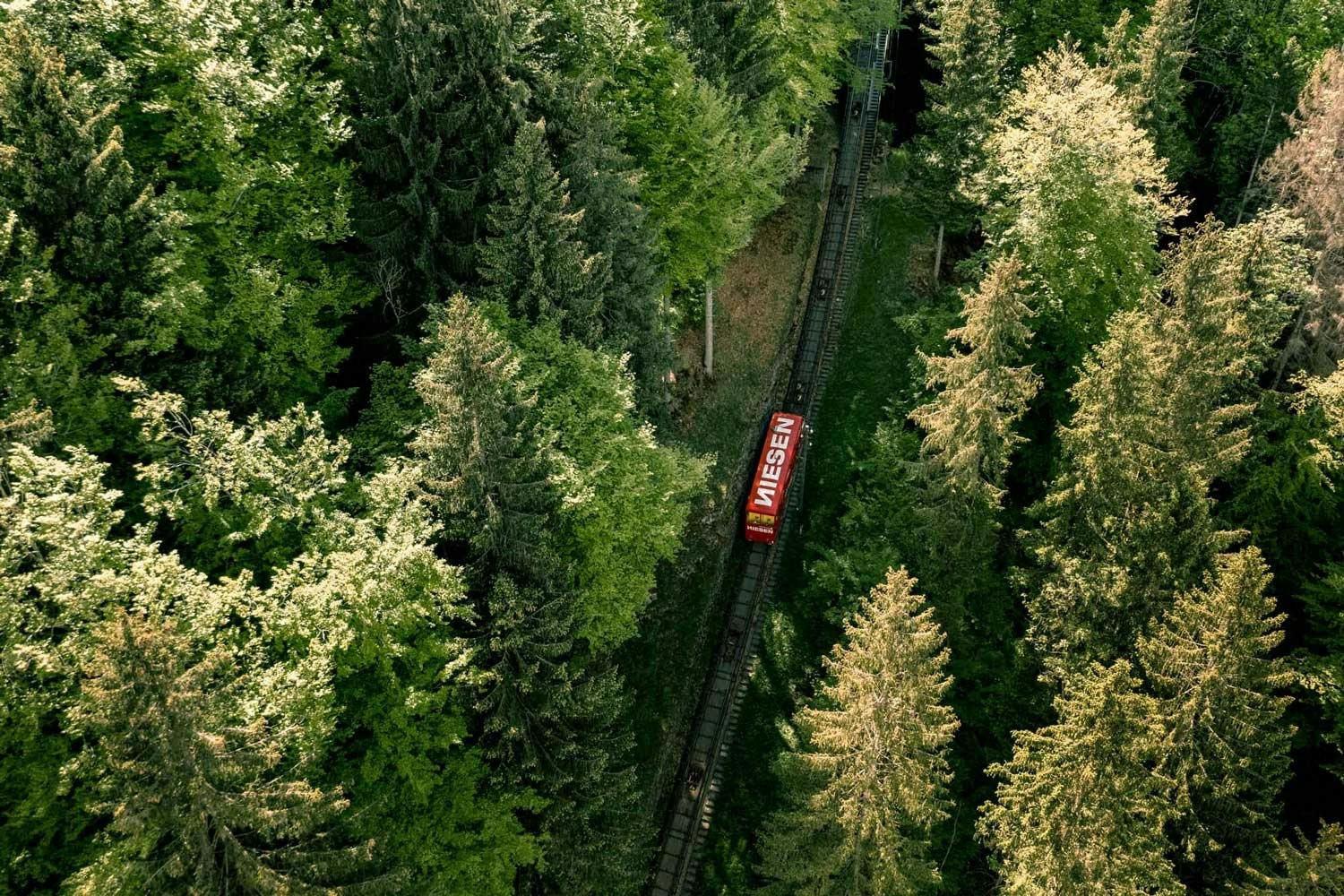 Auf dem Niesen erleben Sie Einmaliges: Zum Beispiel den Niesen-Brunch auf 2334 Metern Höhe.