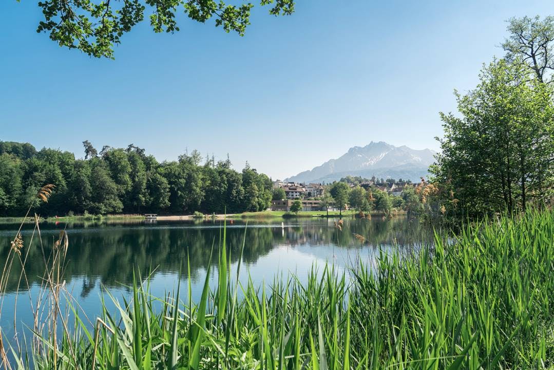Der Rotsee ist ein Naherholungsgebiet vor den Toren Luzerns. Auf den sieben Kilometern rund um den See gibt es viel zu entdecken. Die Fahrt mit der Rotseefähre «Libelle» verkürzt den Weg und ist ein Highlight für die Kinder. www.rotsee.lu
