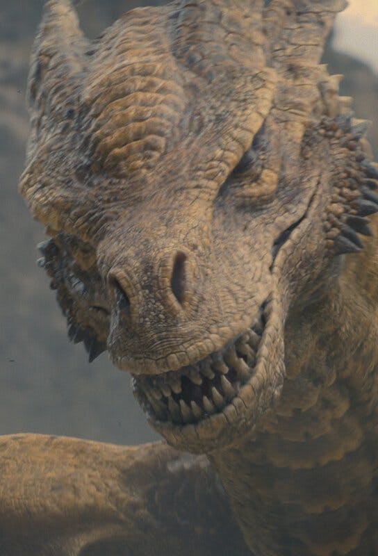 Syrax, geritten von Rhaenyra Targaryen, ist nach einer Göttin von Valyria benannt. Sie ist ebenfalls ein junger Drache, doch noch nicht ganz so furcht...