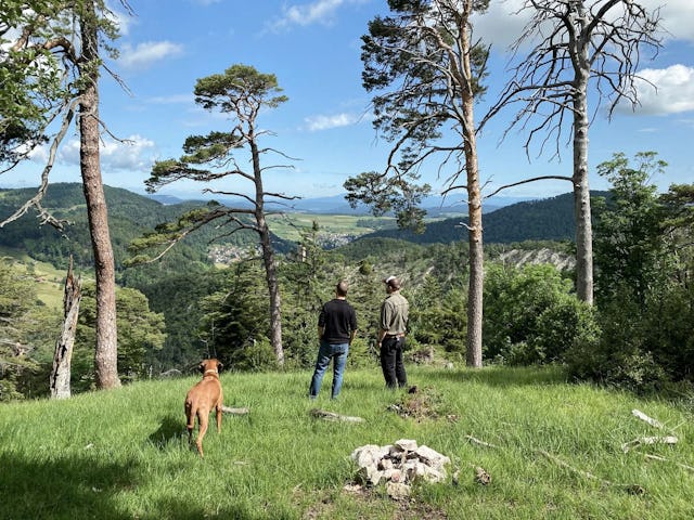 Klimaschutzprojekt «Frenkentäler Wälder»: Mit dem Forstbetrieb Frenkentäler kompensiert die BKB ihre CO₂-Restemissionen.