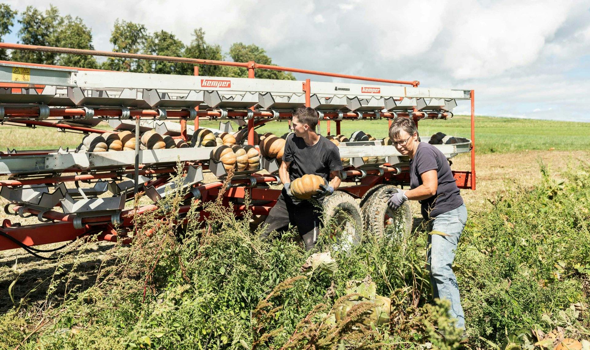 Auch die Ernte wird von Menschenhand vorangetrieben.
