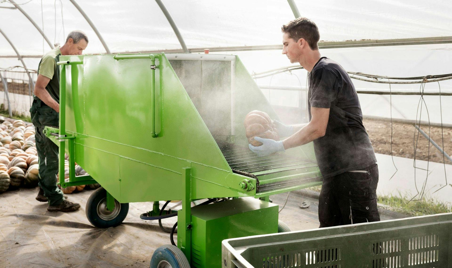 Im Bogentunnel werden sie gewaschen und gelagert.