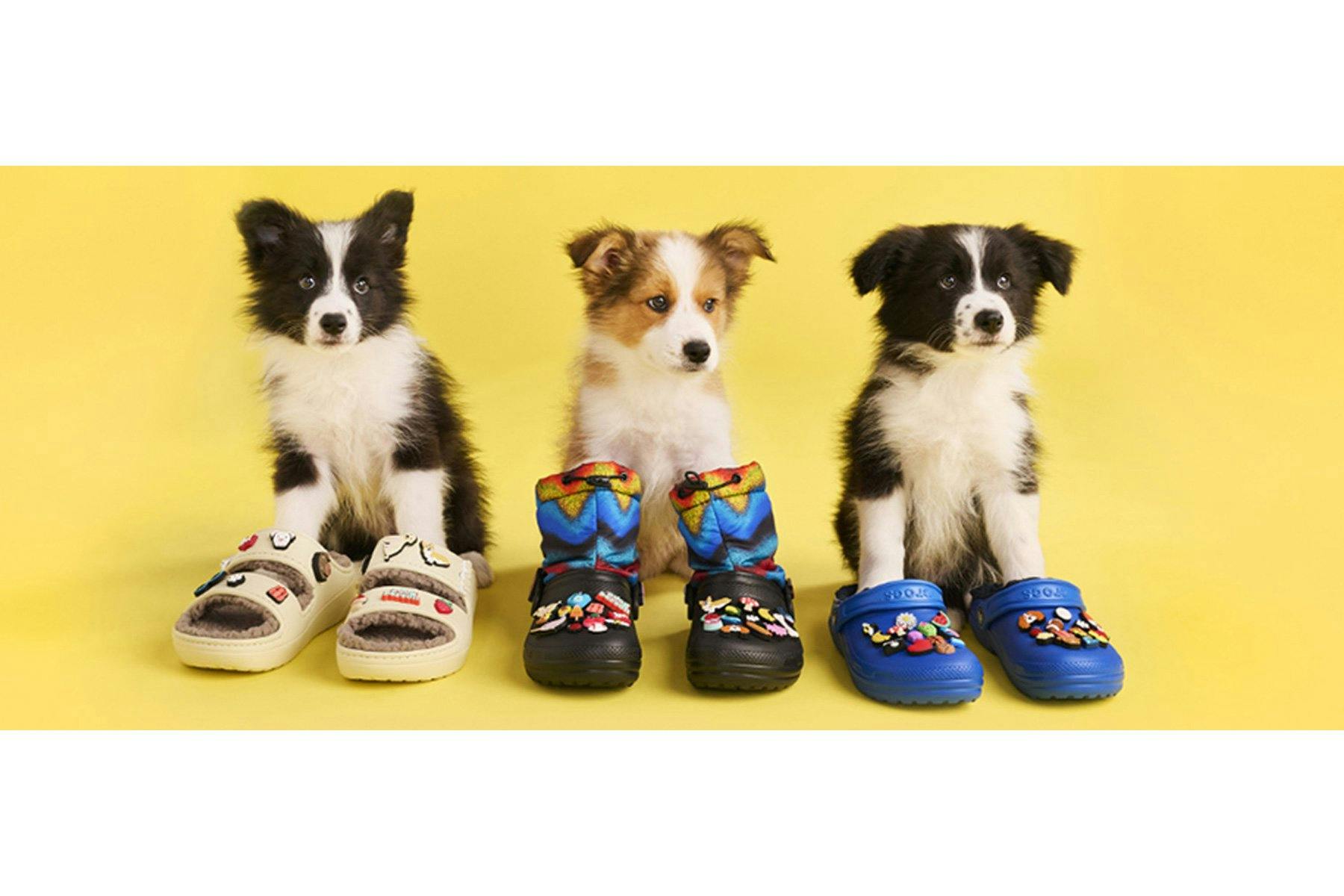 Die neuen Crocs sind so flauschig, dass sogar die kuscheligsten Welpen vor Neid erblassen.