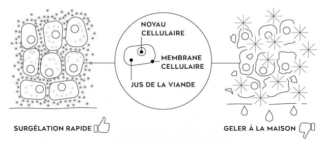 Source: Institut allemand pour la congélation