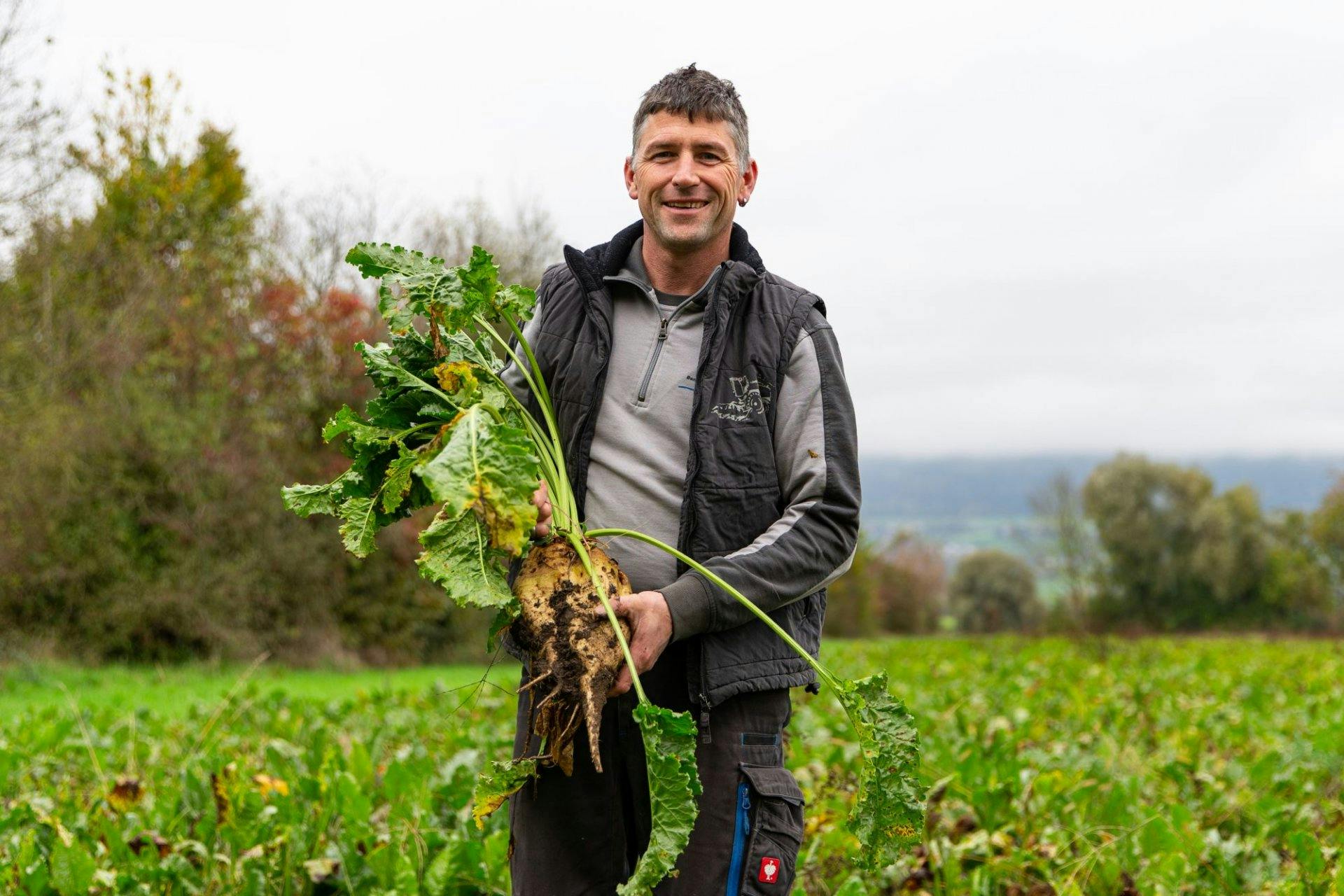 Der Meisterlandwirt arbeitet in Kreisläufen: Durch Kuhmist gelangen Nährstoffe in die Böden, wo beispielsweise Zuckerrüben wachsen. Daraus entstehen N...