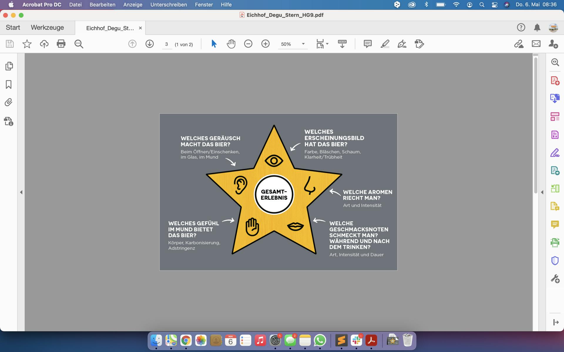 Im sogenannten Degustationsstern sind die fünf Sinne und ihre Bedeutung beim Biertrinken sehr anschaulich dargestellt.
