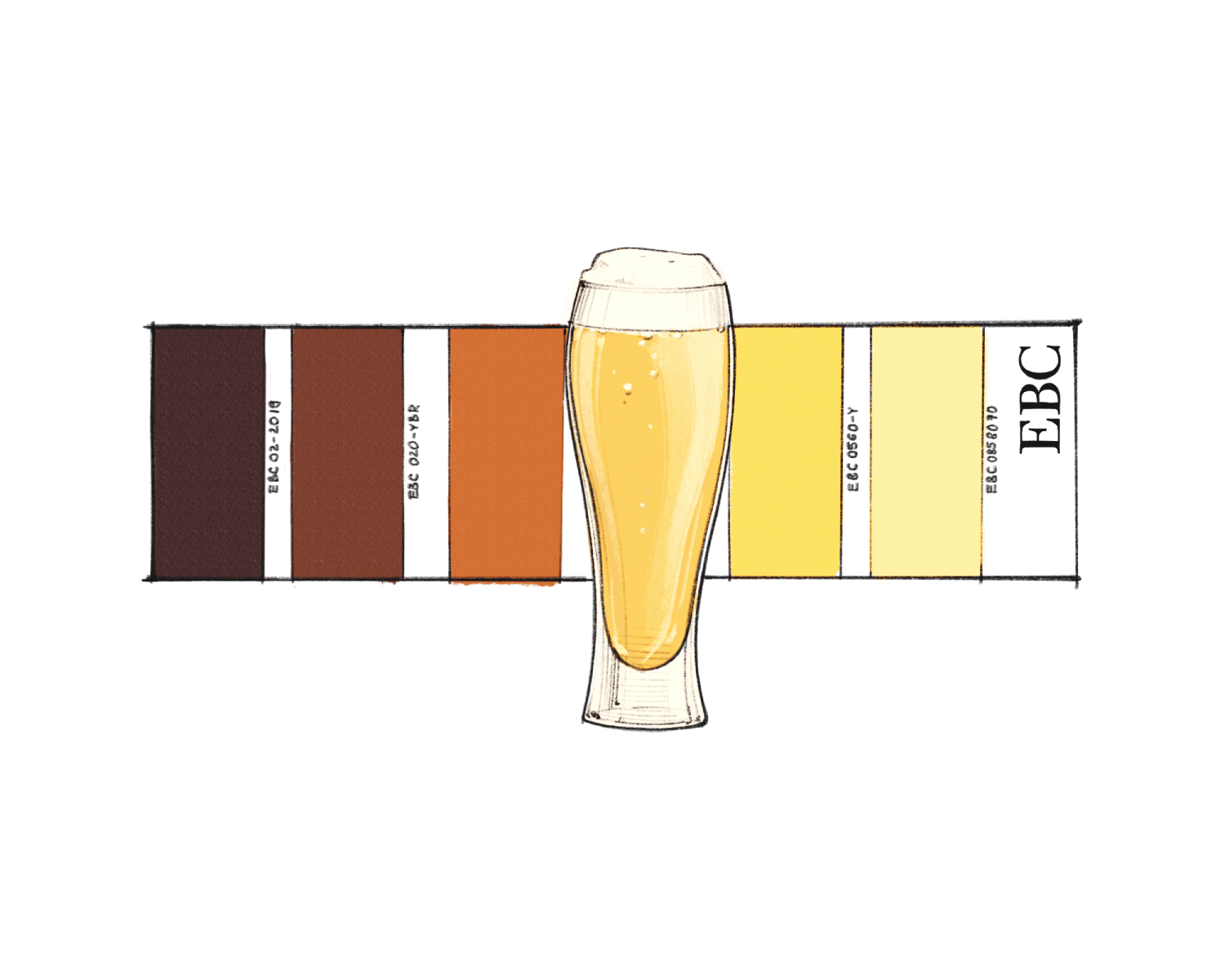 E - EBC: l'unità standard con cui si misura il colore e il mosto di una birra, soprattutto in Europa. Questo avviene secondo una scala di colori!